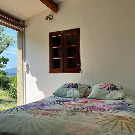 L'olivada, D'exception