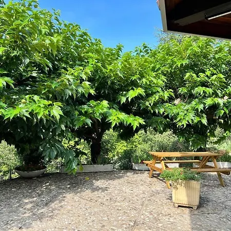 L'olivada, D'exception * Ganges