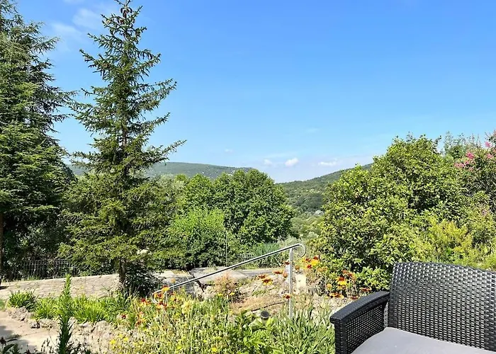 L'olivada, D'exception